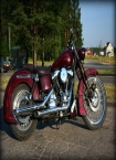 Harley-Davidson Custom 2